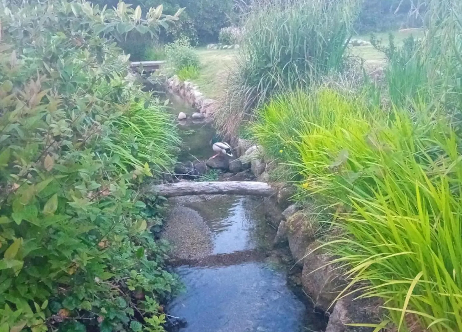 Homestay Twin Room With Shared Bathroom And Kitchen Galway 3Km From Centre Ireland